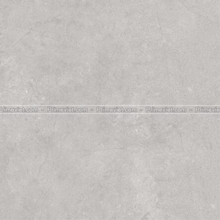 Gạch lát nền Prime 60x60 22015
