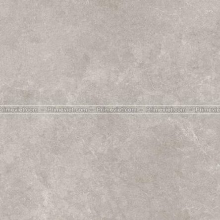 Gạch lát nền Prime 60x60 25000