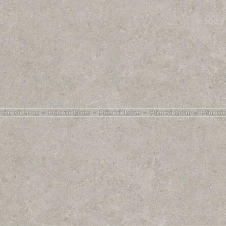 Gạch lát sân Prime 60x60 25003