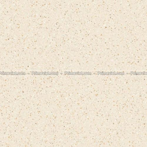 Gạch lát nền Prime 60x60 25009
