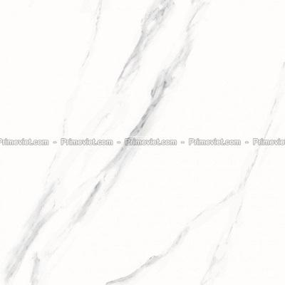 Gạch lát nền Prime 60x60 9403