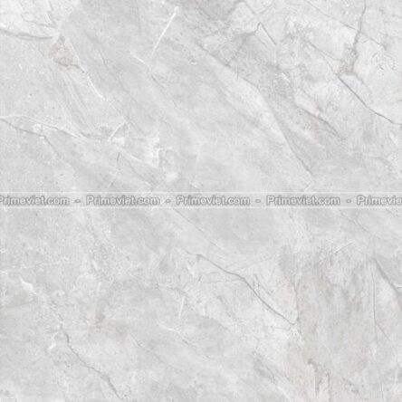 Gạch lát nền Prime 60x60 9709