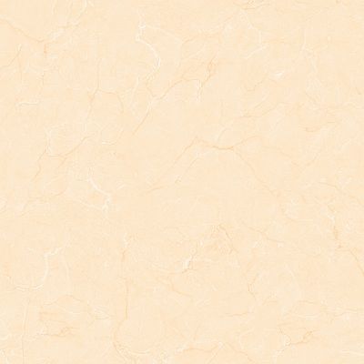 Gạch lát nền Prime 60x60 17011