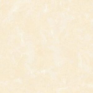 Gạch lát nền Prime 60x60 17000